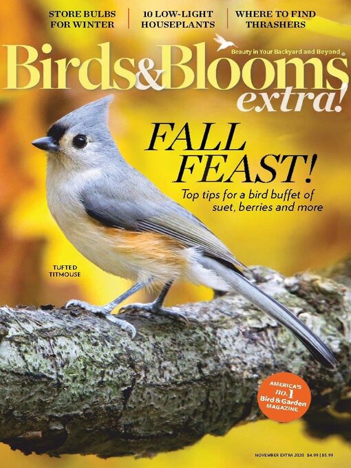 Cover image for Birds and Blooms Extra